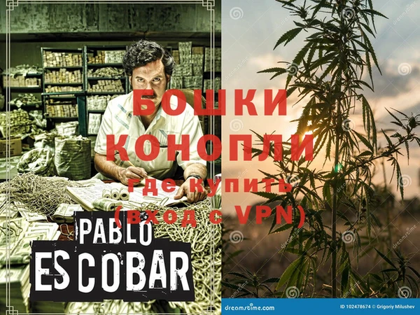 бошки Алексин