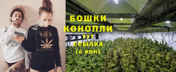 бошки Алексин