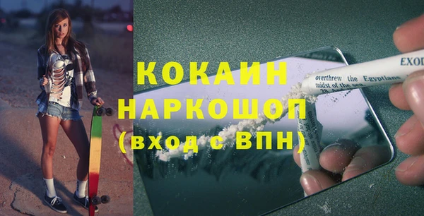 бошки Алексин