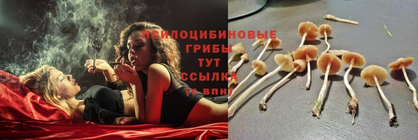 мет Алексеевка