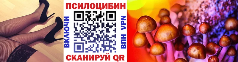 omg как войти  наркота  Ардон  Псилоцибиновые грибы мицелий 